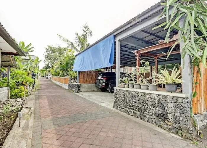 Pucuk Bali *